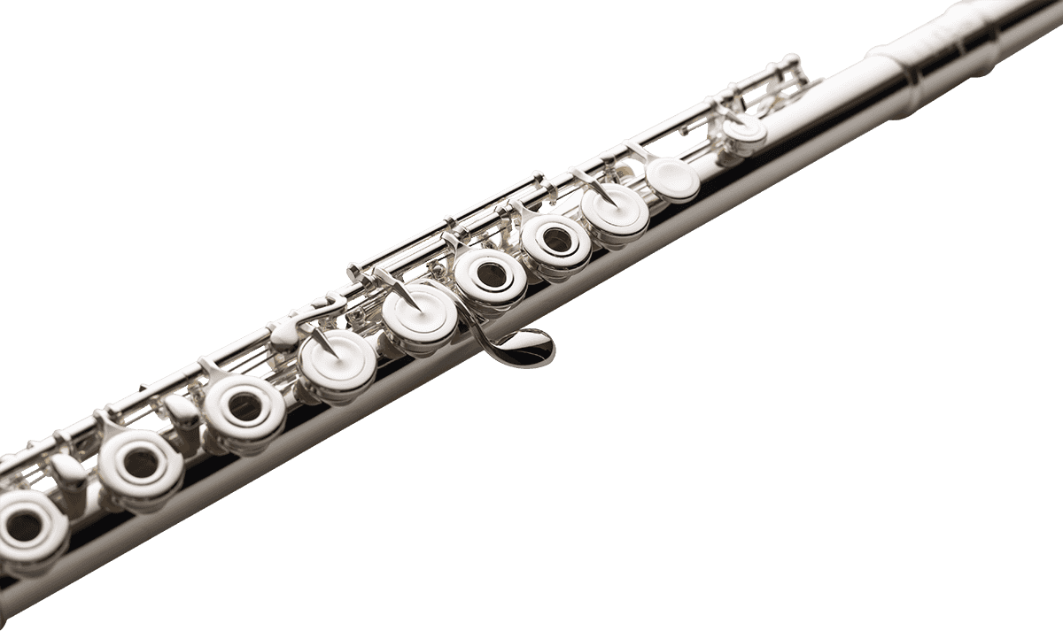 EP925R Elegante Primo - Testata Vivace + Piede di Do (Meccanica a fori aperti e in linea)