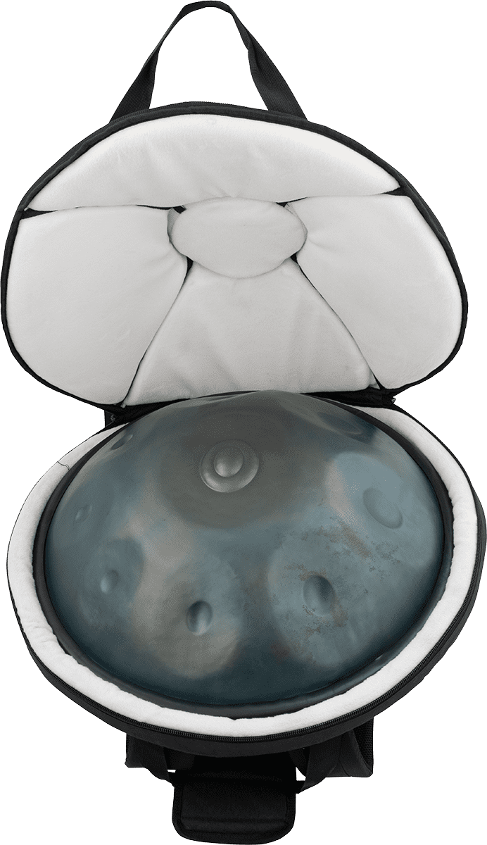 PBHP500 22 HANDPAN WITH BAG