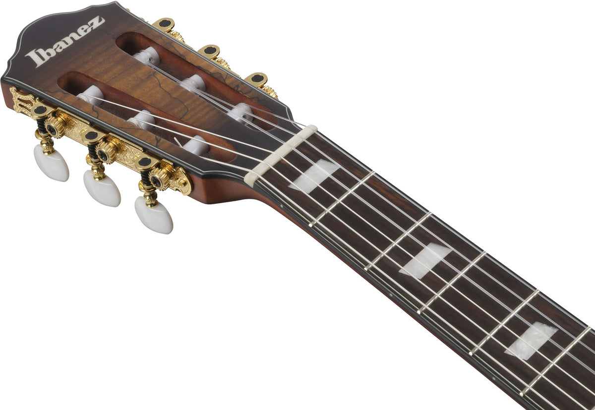 FRH20SMNTCL Tobacco Burst Bassa lucentezza