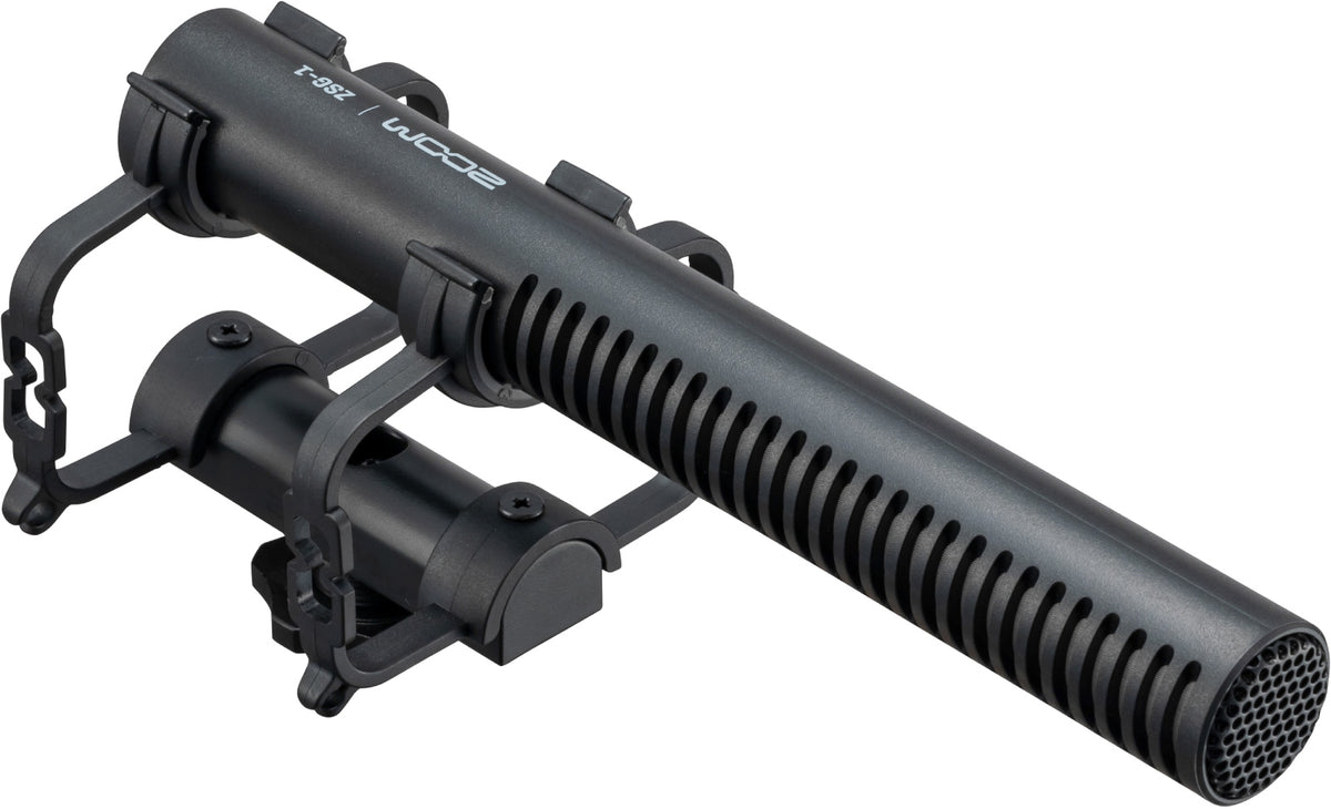 ZSG-1