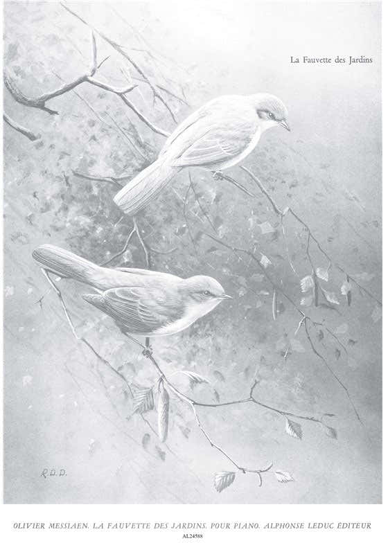 Bigiarella