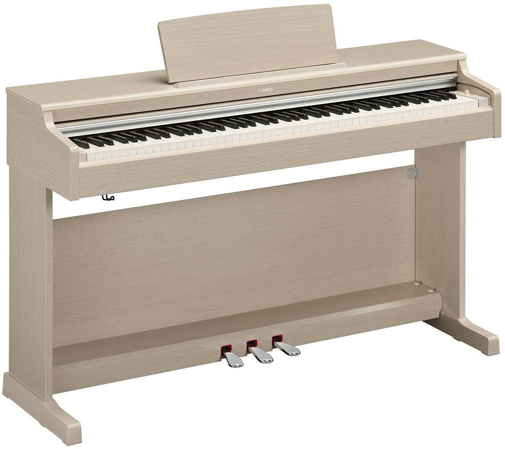 Arius YDP-165 Frassino chiaro