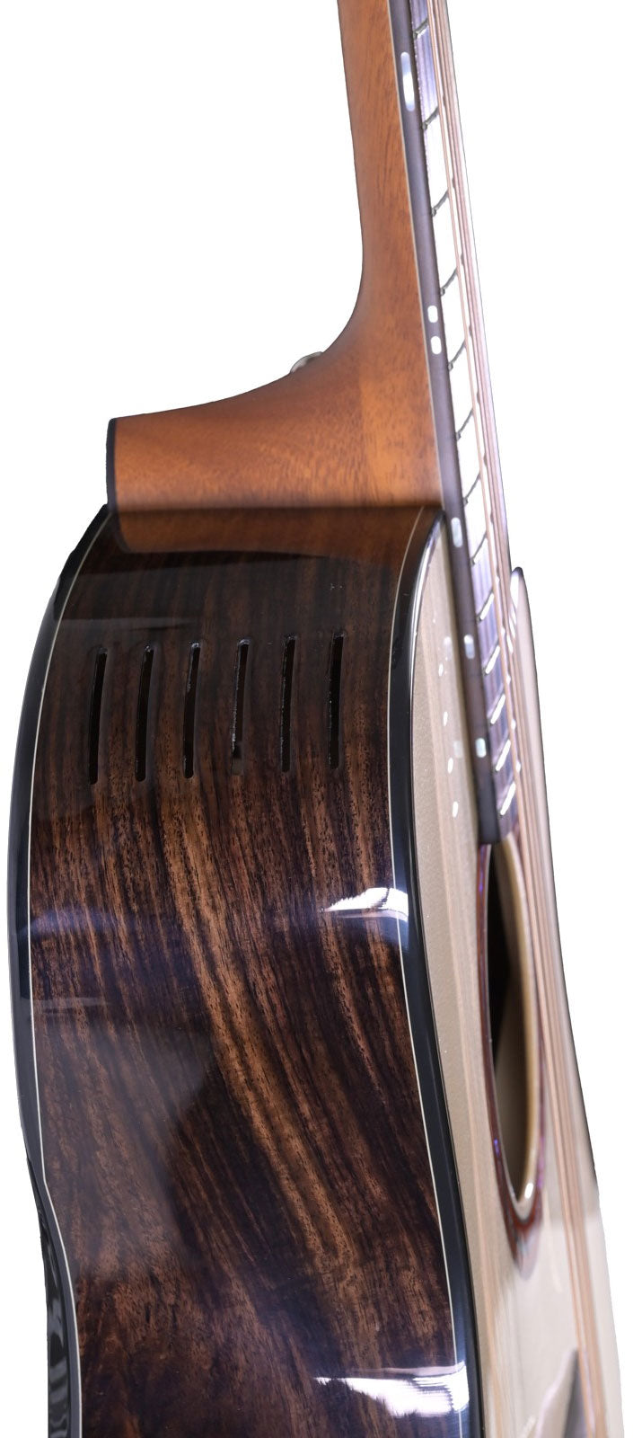 Ldt Dread Cw Lr