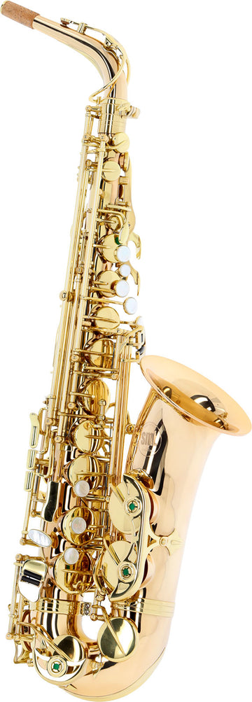 Vendôme Sassofono Alto Mib Verniciato E Ottone Rosa VA-8000