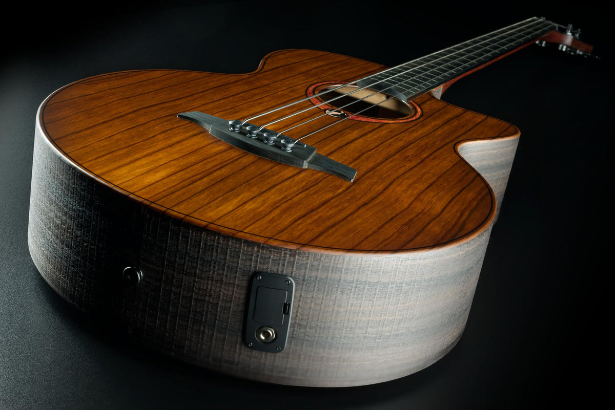 Basse Acoustique Fretless Jumbo Pan Coupé Electro, avec housse