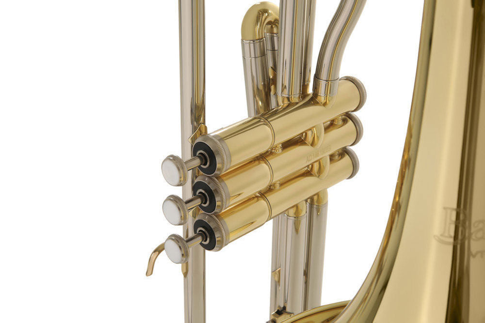 Ambition VT51 Tenore Sib Laccato