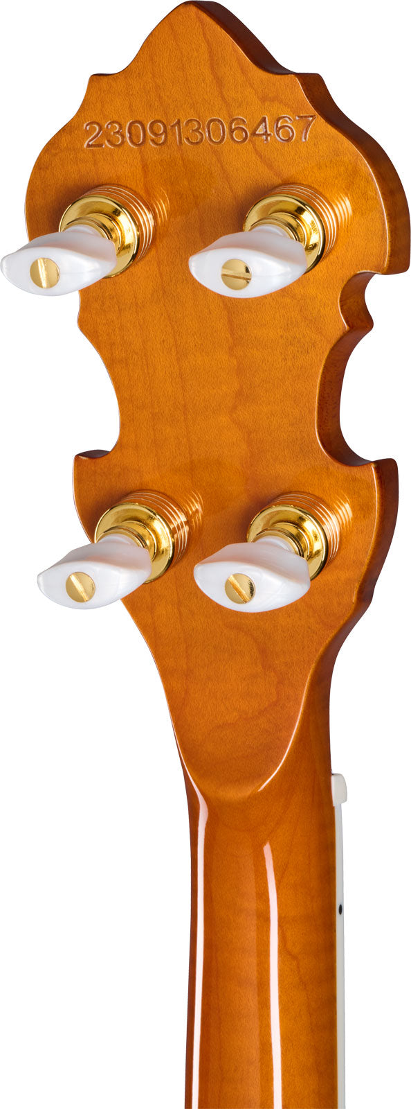 Earl Scruggs Golden Deluxe Banjo Naturale Ibgcs