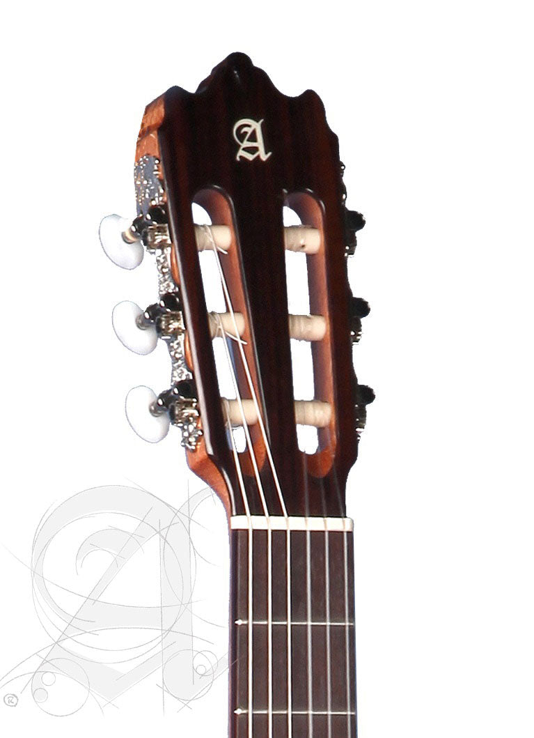 Student 3F Ct E1 Flamenco + 9738 25mm Gigbag