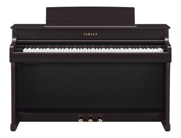 CLP-845 Palissandro
