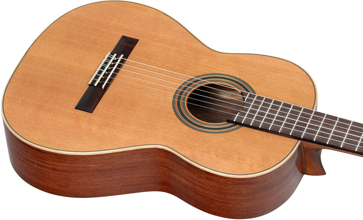 Traditional 4/4 + custodia morbida Pro
