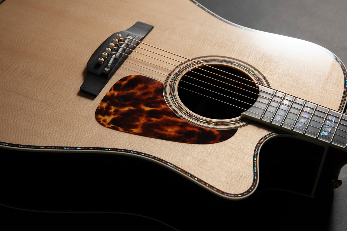 Dreadnought Cutaway Elettro P10DC