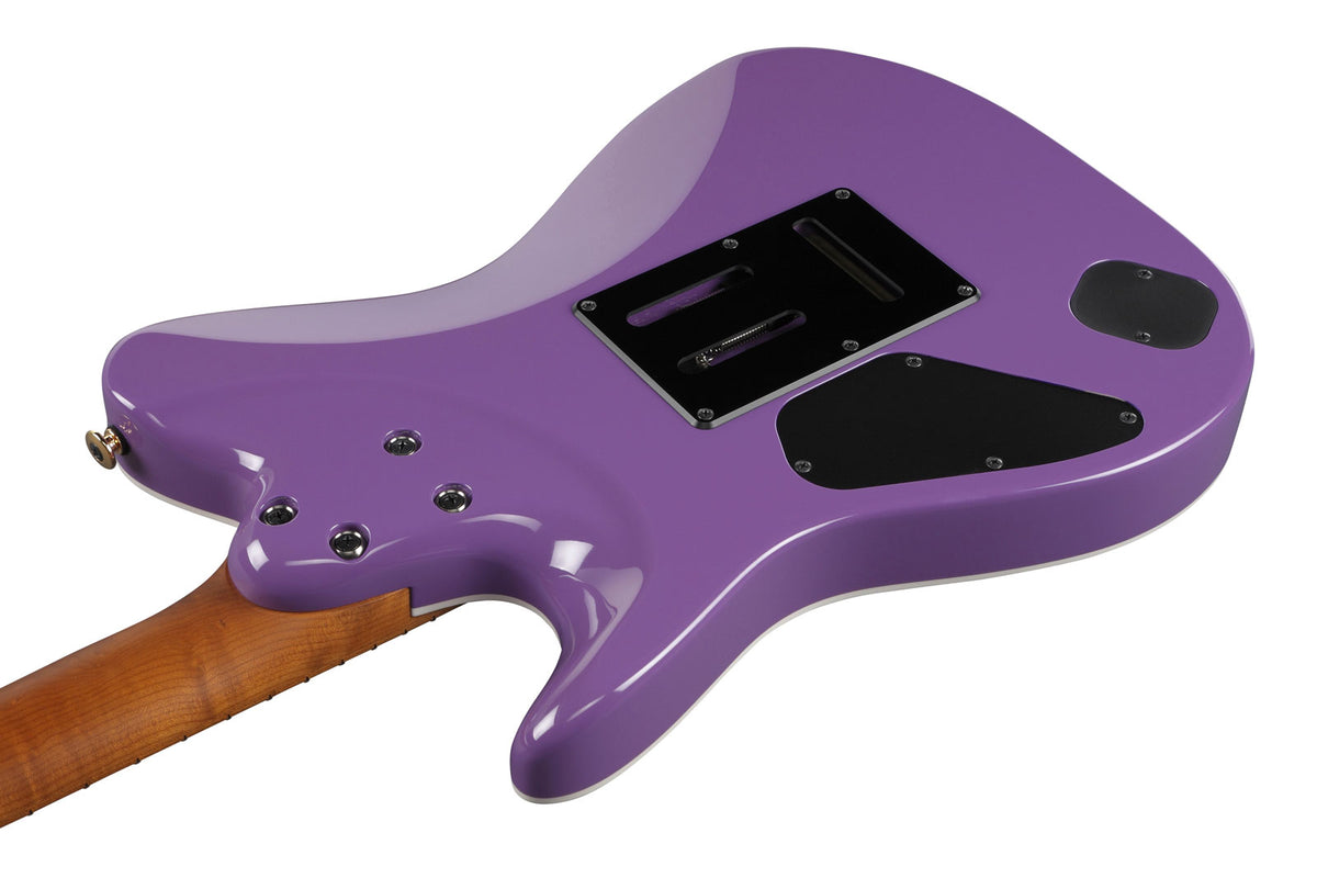 LB1-VL Viola Signature Lari Basilio