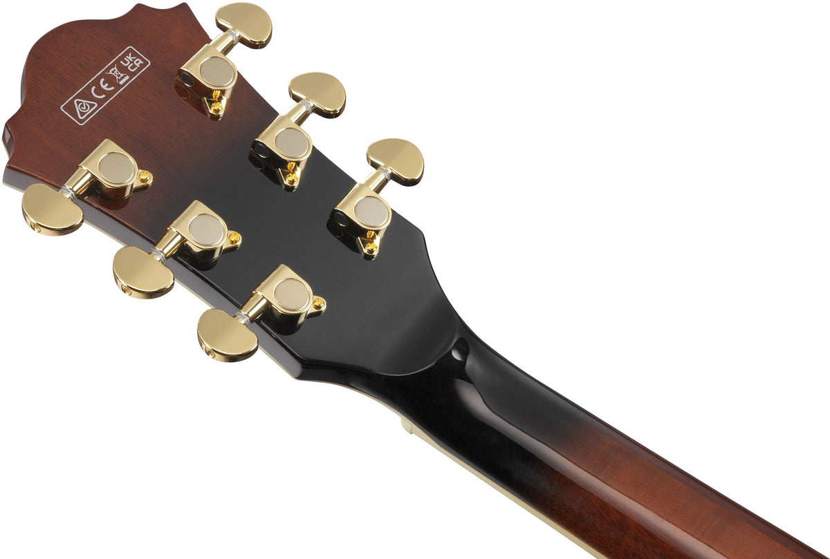 AS93QMSP-DBS Sunburst Marrone Scuro Artcore Expressionist