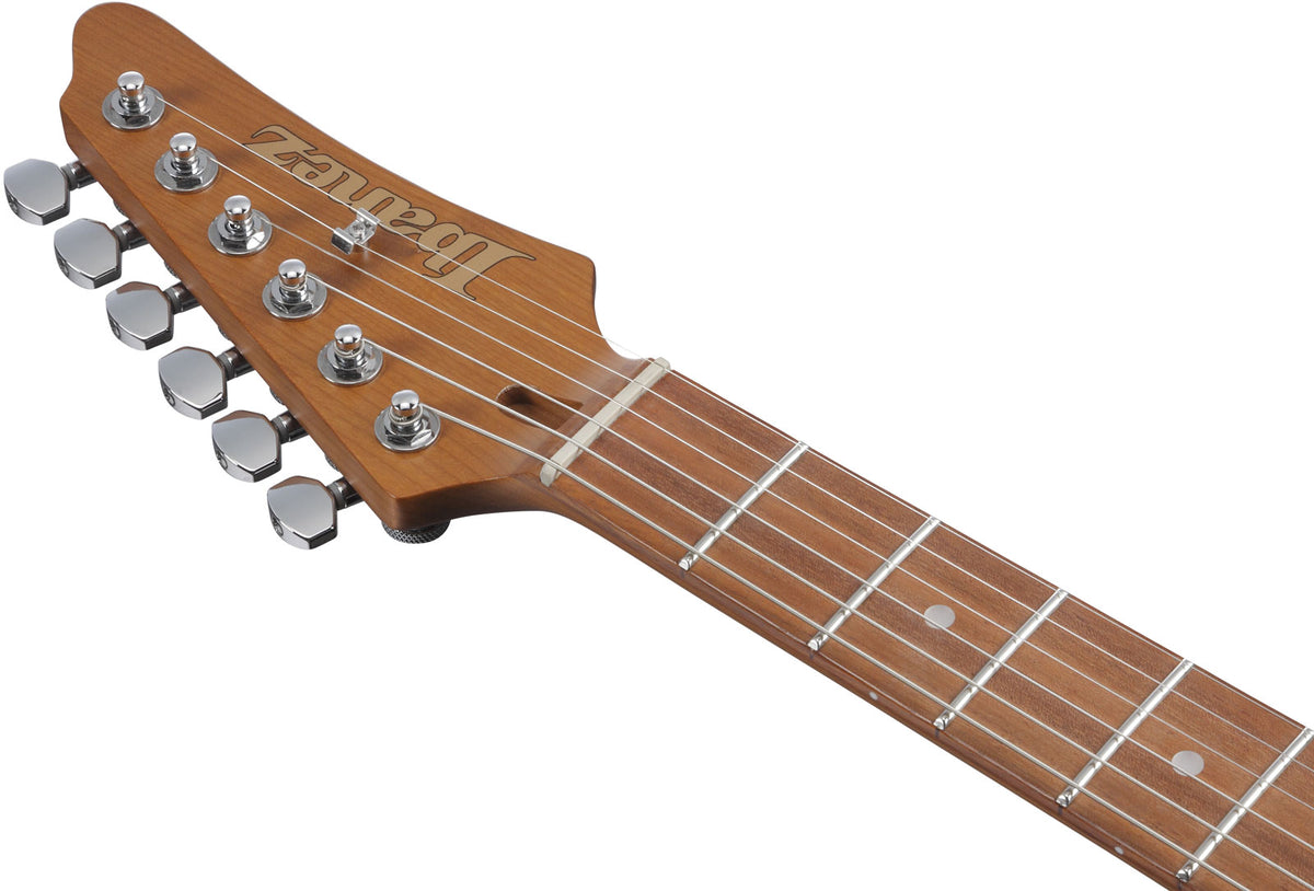 AZ24S1F-TKS Nero trasparente Sunburst Standard