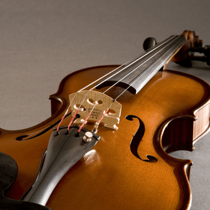 V-300 CONCERT SERIES VIOLIN PICKUP