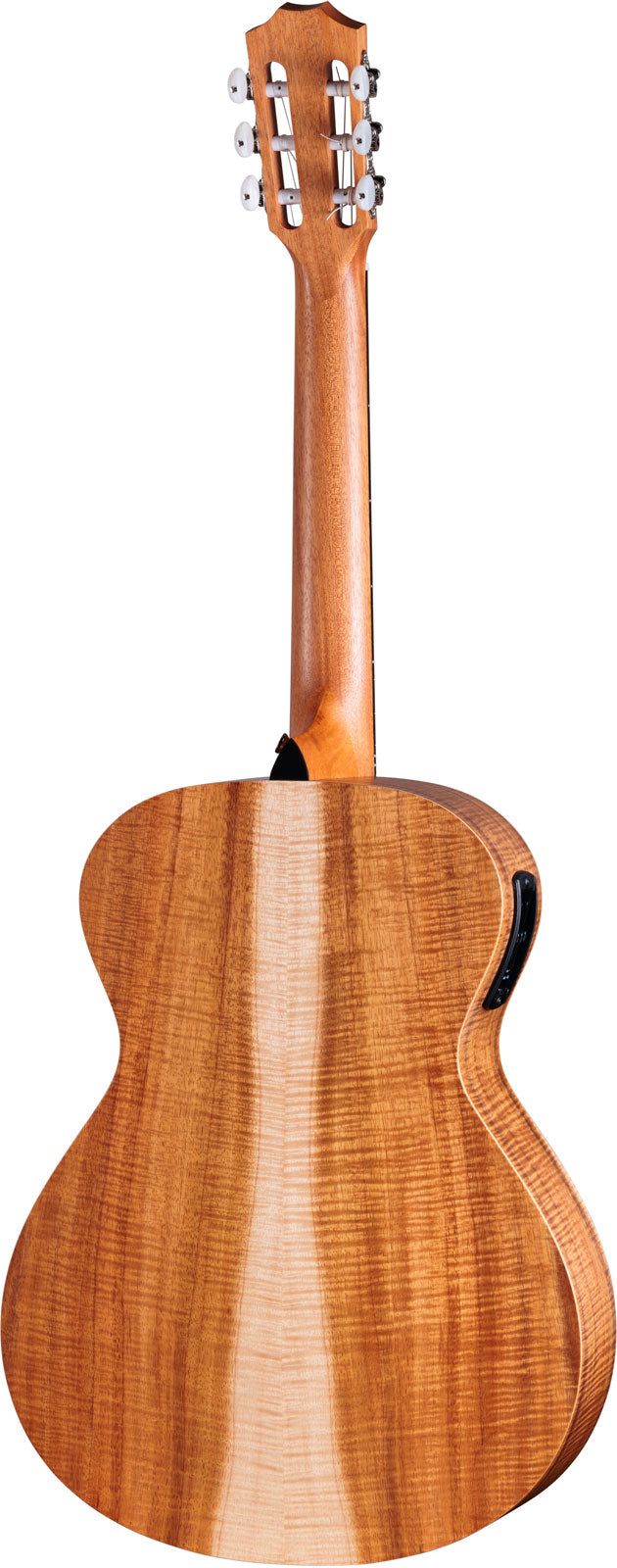 Academy 12e-N LTD,Koa figurato/Abete