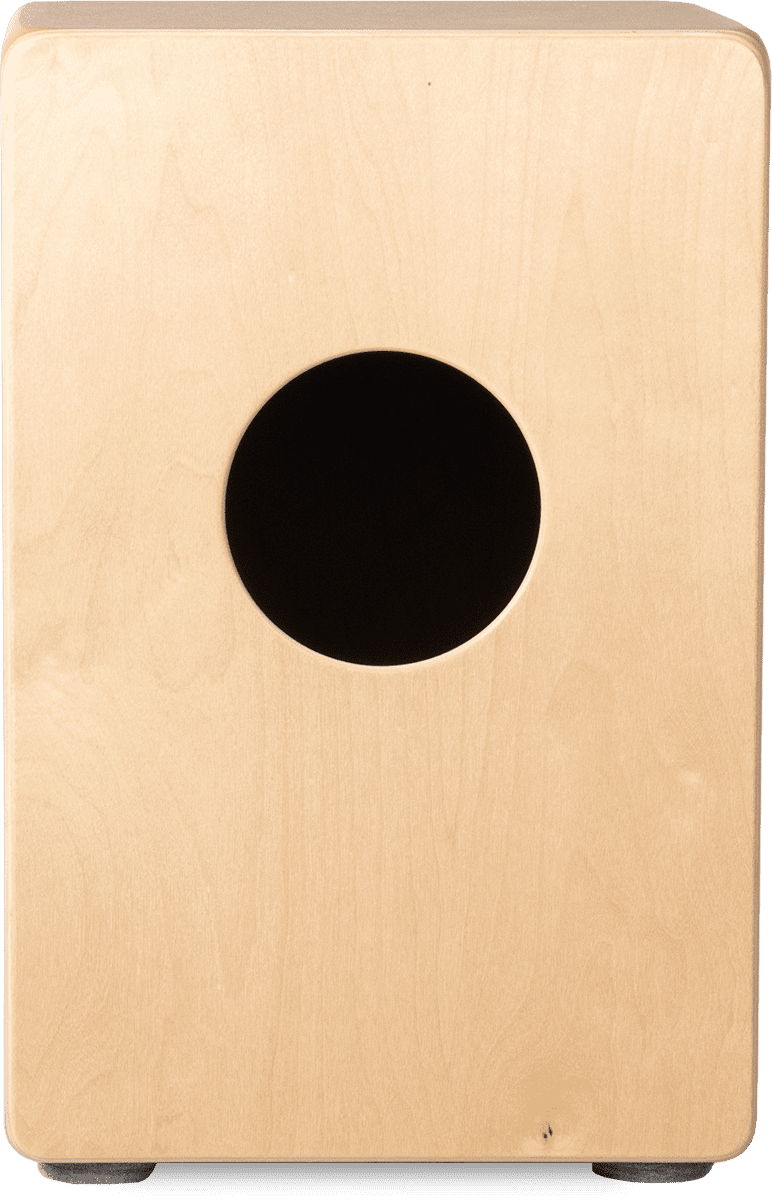 CP83 Rudiments Fingerprint Medio