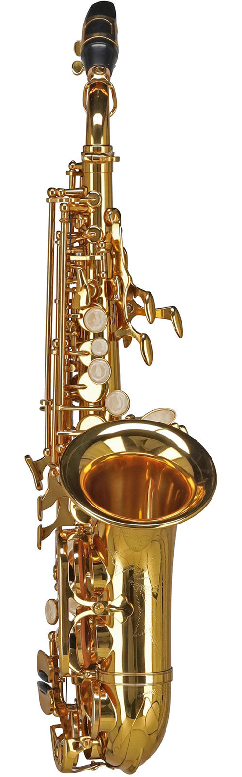 Ambition SC650 Sib Verniciato