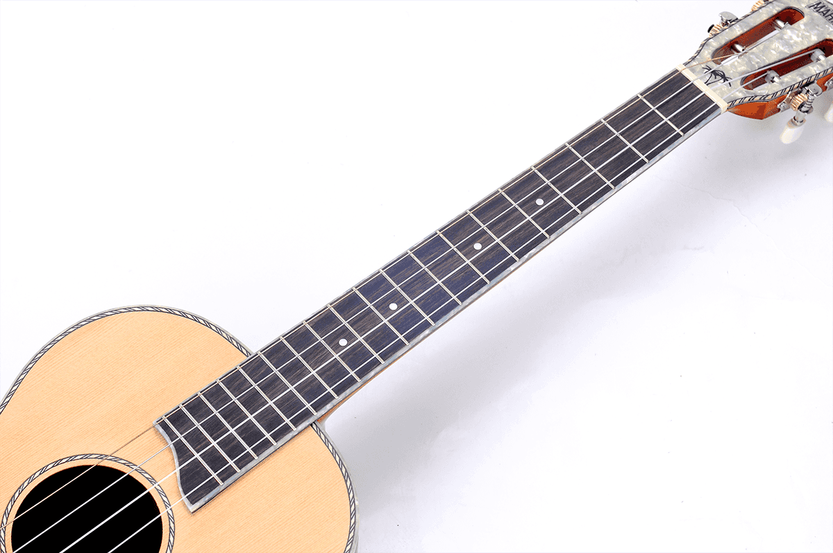 Baritono Elettrico Naturale Testa Perlata + Custodia