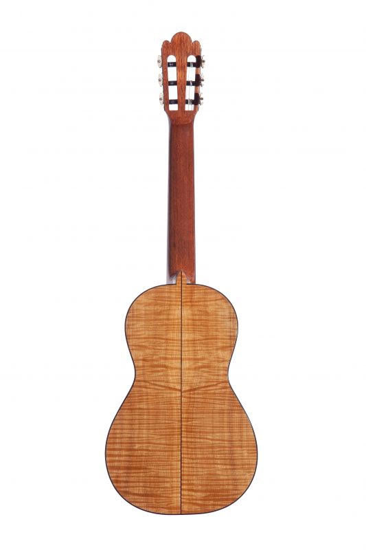 Torres 77 Abete Mn Anticato