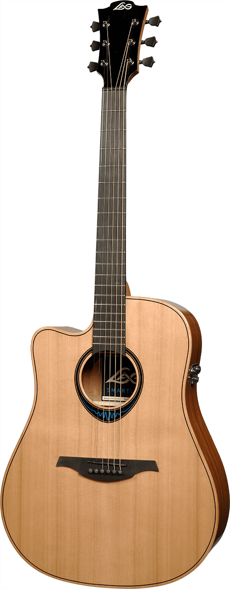Bluewave 2 TLBW2DCE Dreadnought Cutaway Mancina