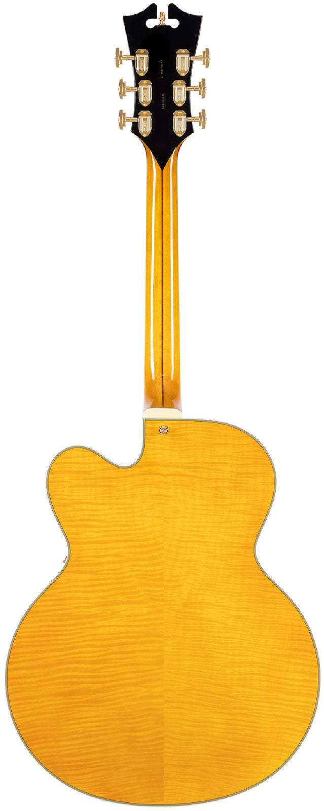 Excel EXL-1 Ambra