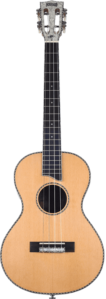 Baritono Elettrico Naturale Testa Perlata + Custodia