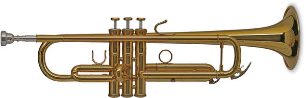Gewa Vision TR172 Sib Laccato