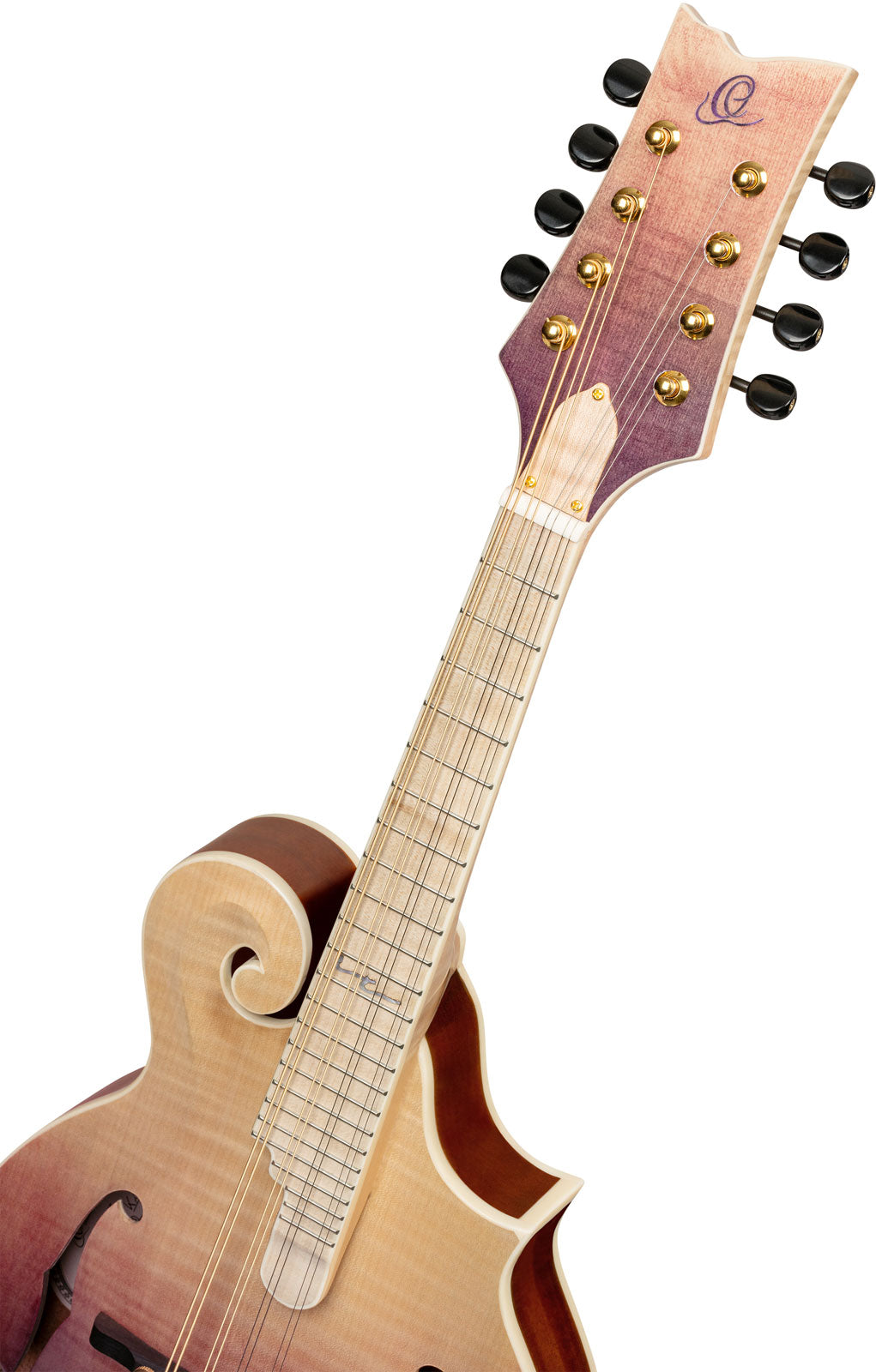 Americana Mandolino F-Style + Custodia in pelle Croco