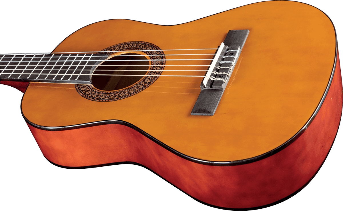 Cs-2 1/2 Natural + Gigbag