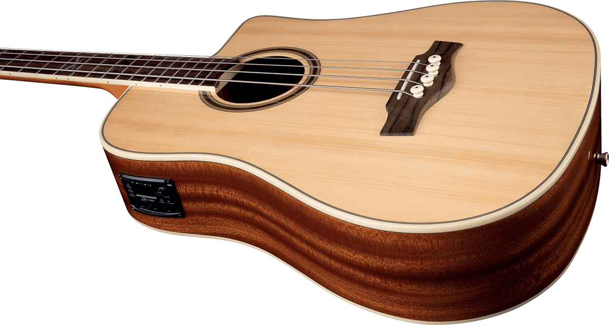 NXT B100ce Dreadnought Naturale