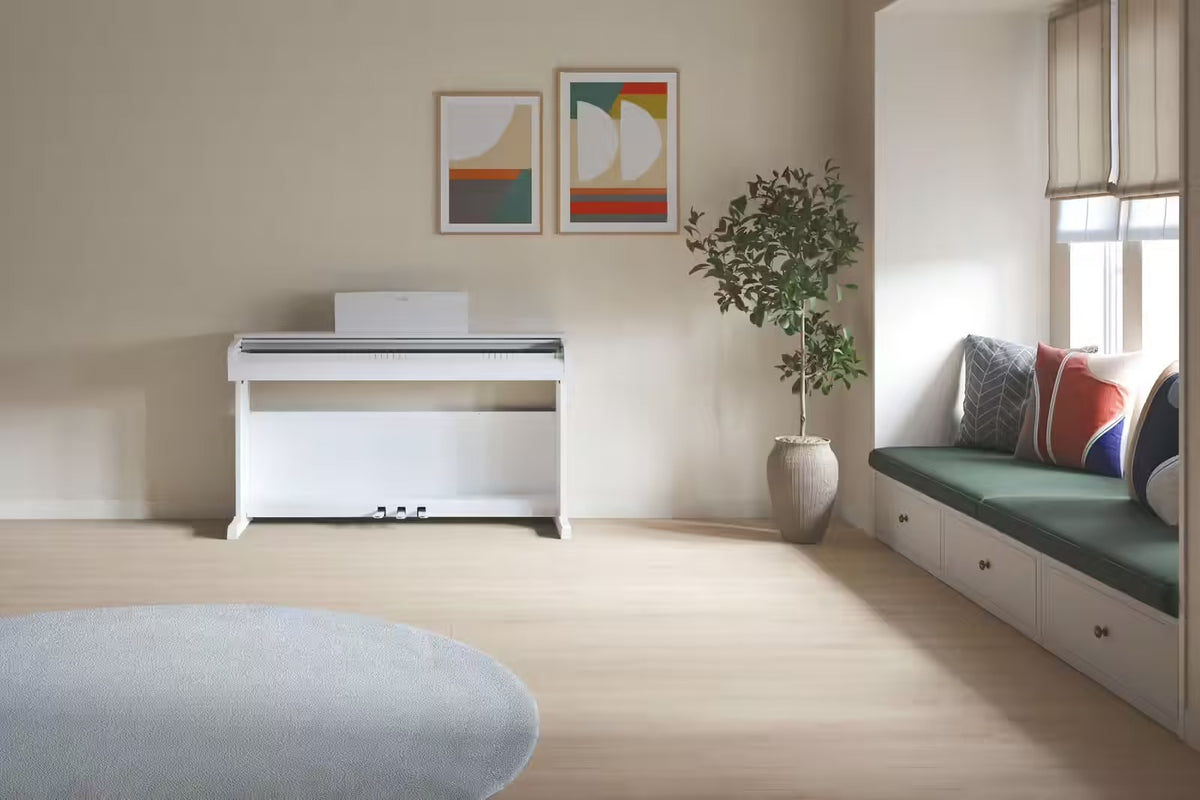 YDP-146 White
