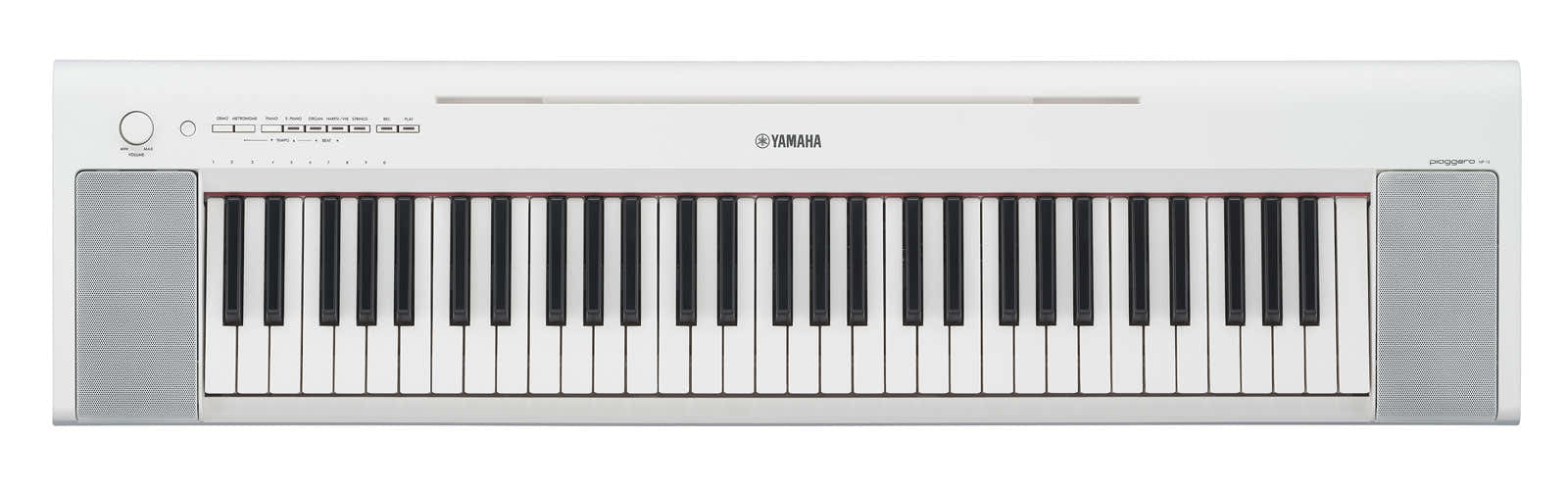 NP-15 Bianco