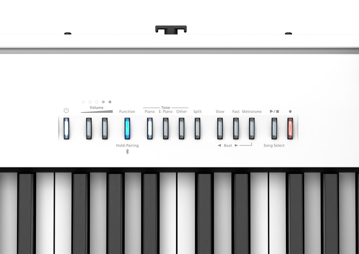 FP-30X Bianco
