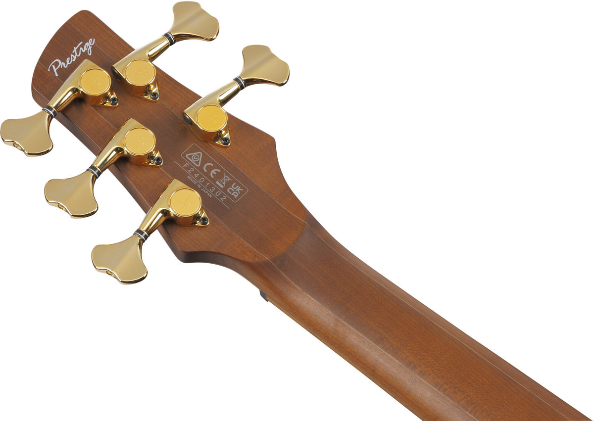 SR4505-DST Tramonto del deserto Burst Prestige