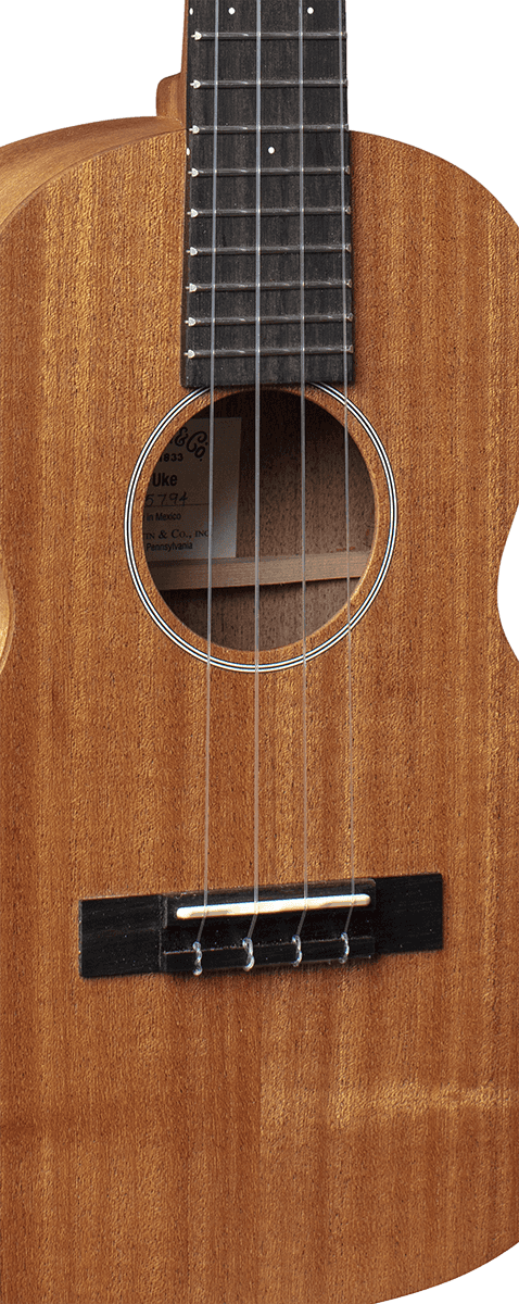 Ukulele T1