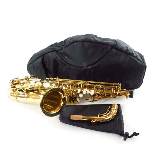 Fusion Bags Black Alto Saxophone Case
