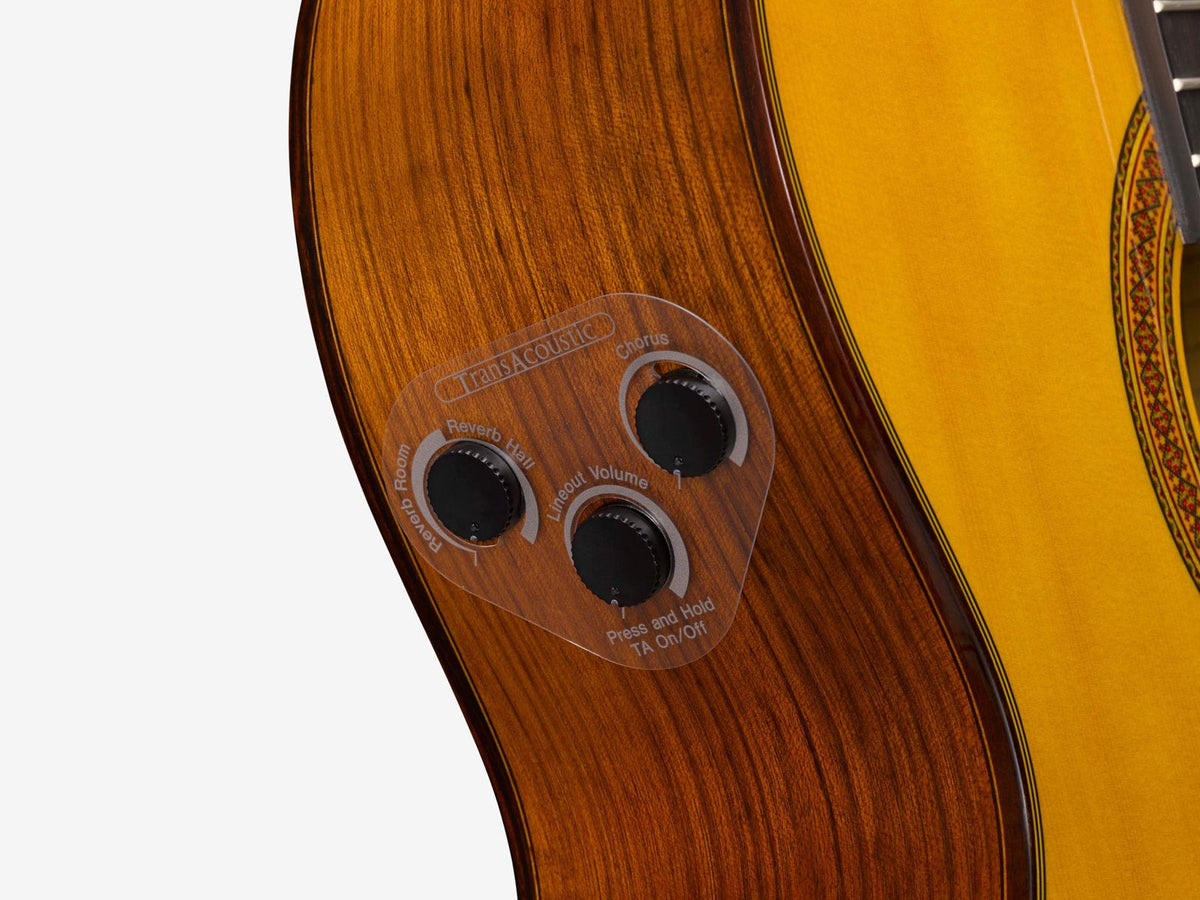 cg-ta transacoustic naturale