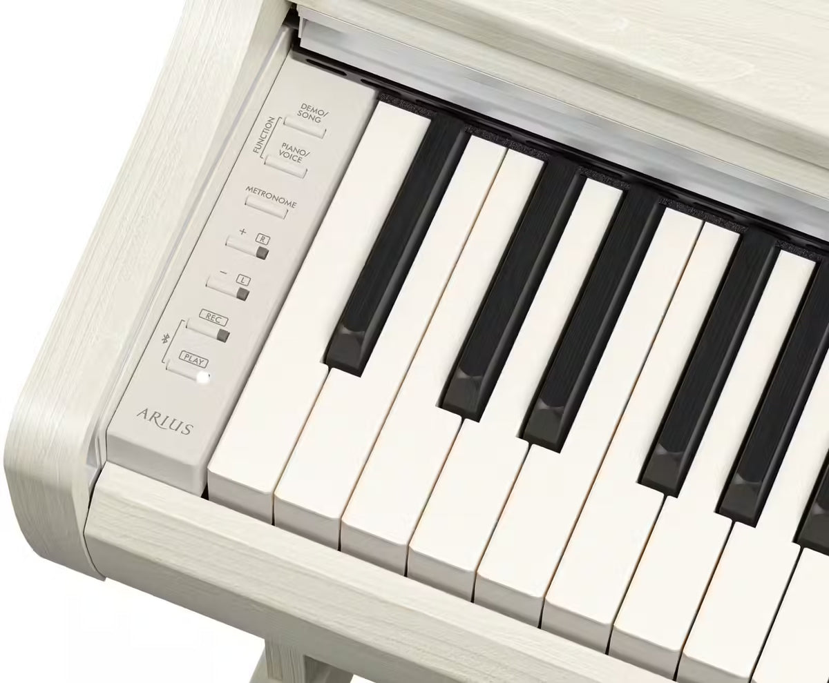 YDP-166 White Birch