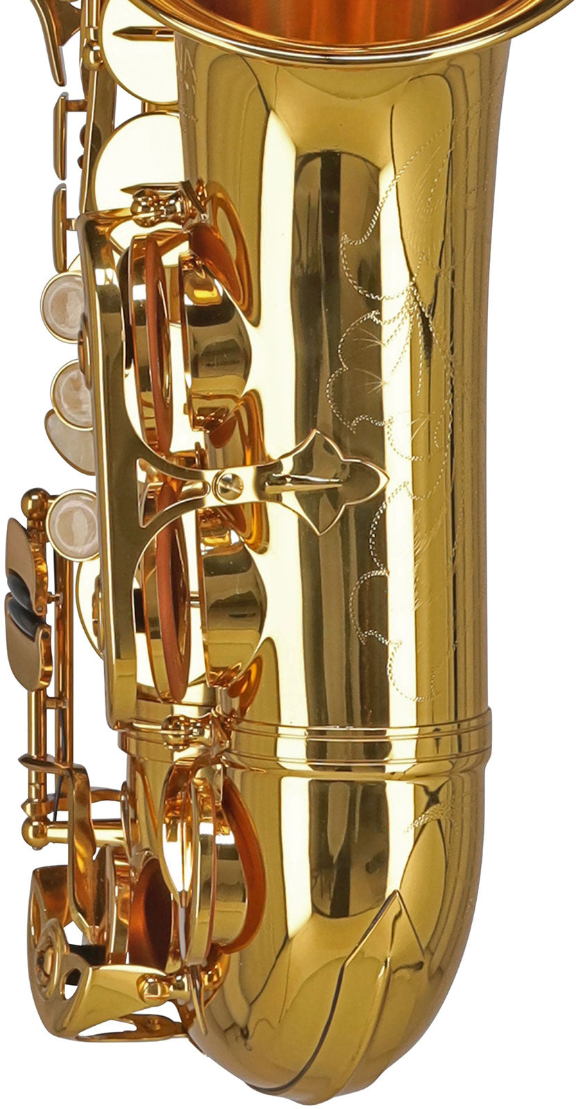 Ambition AS655 Saxhorn alto Mib Laccato (Per bambini)