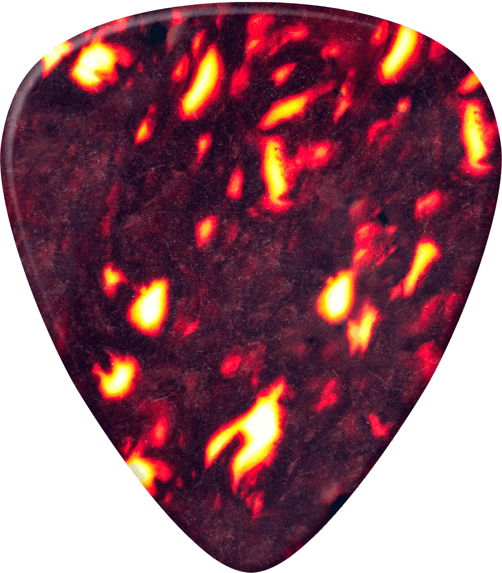 12 x plettri sottili in celluloide tartaruga