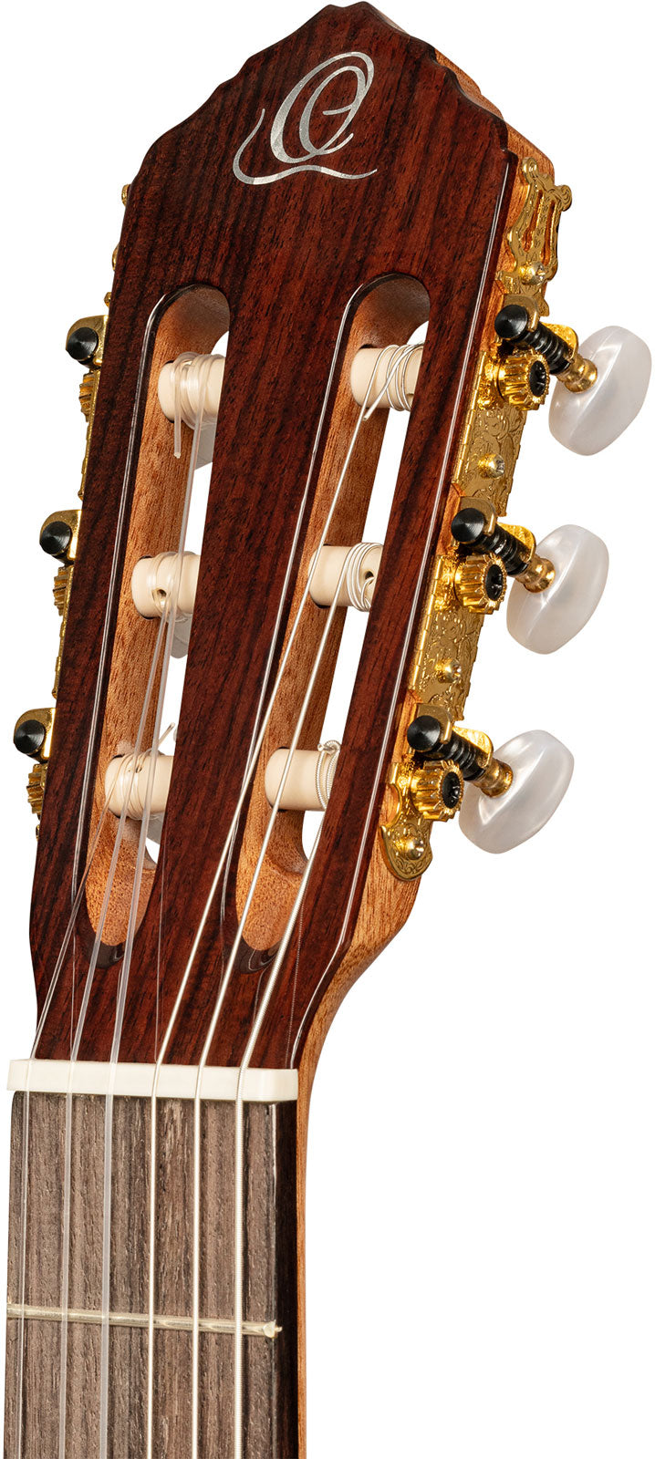 Traditional 4/4 6 LH + custodia morbida Pro