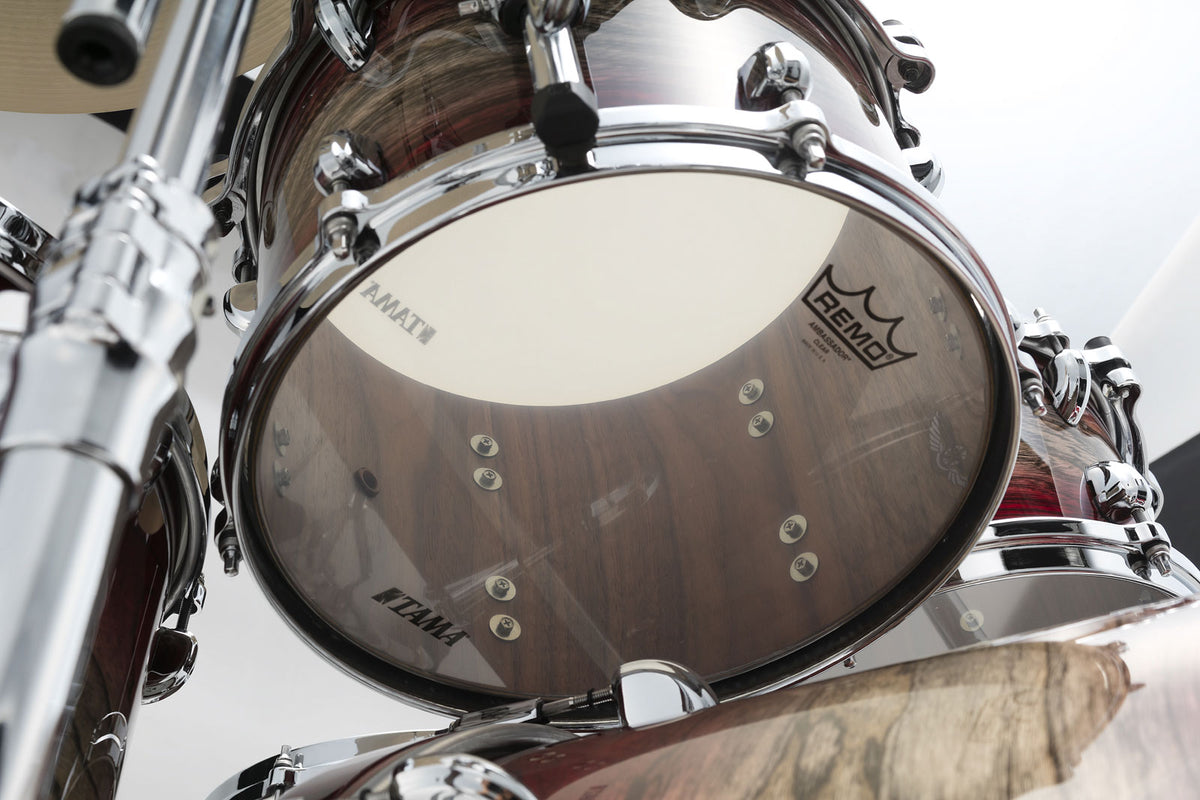 Star Walnut Stage 22 Granato Sen giapponese Burst