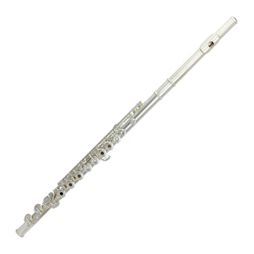 Cantabile - Testata Argentata 31CV-RX