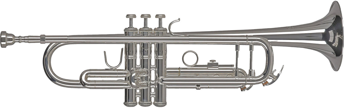 Ambition TR501S Sib Argentata