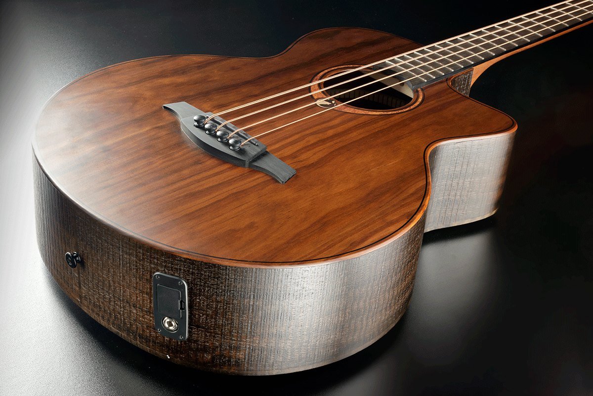 Sauvage Basso Elettroacustico Ctw