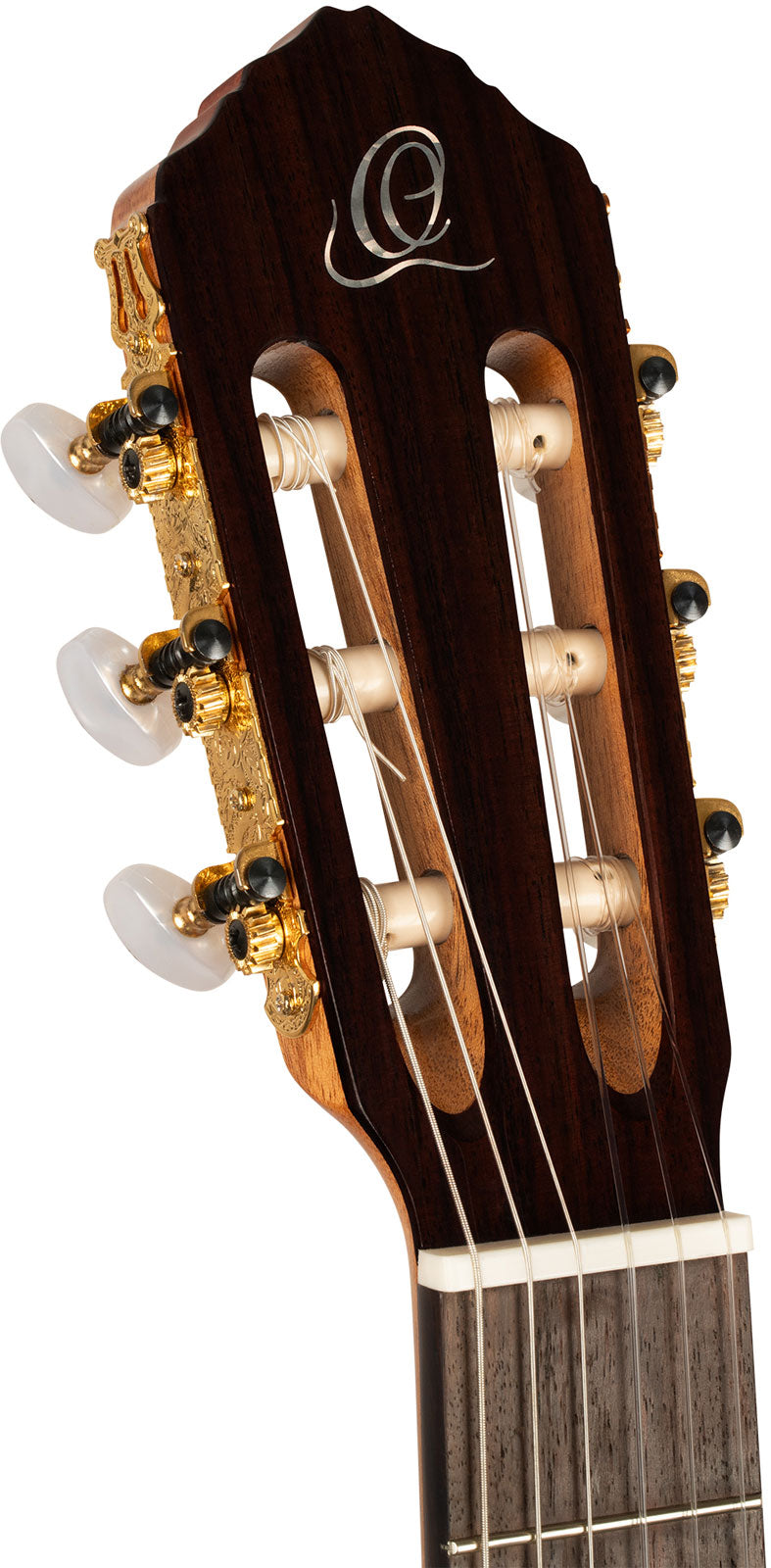 Traditional 4/4 + custodia morbida Pro