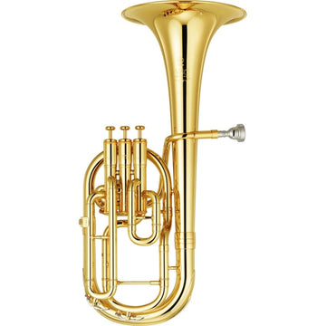 SAXHORN PROF. - SASSOFONO CONTRALTO EB NEO