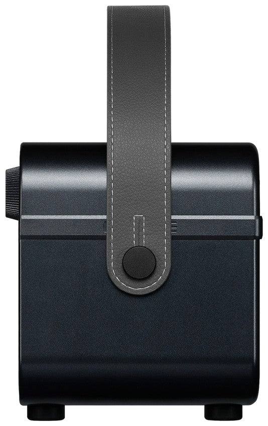 Hotone AP-20BK Pulze Jr. Nero