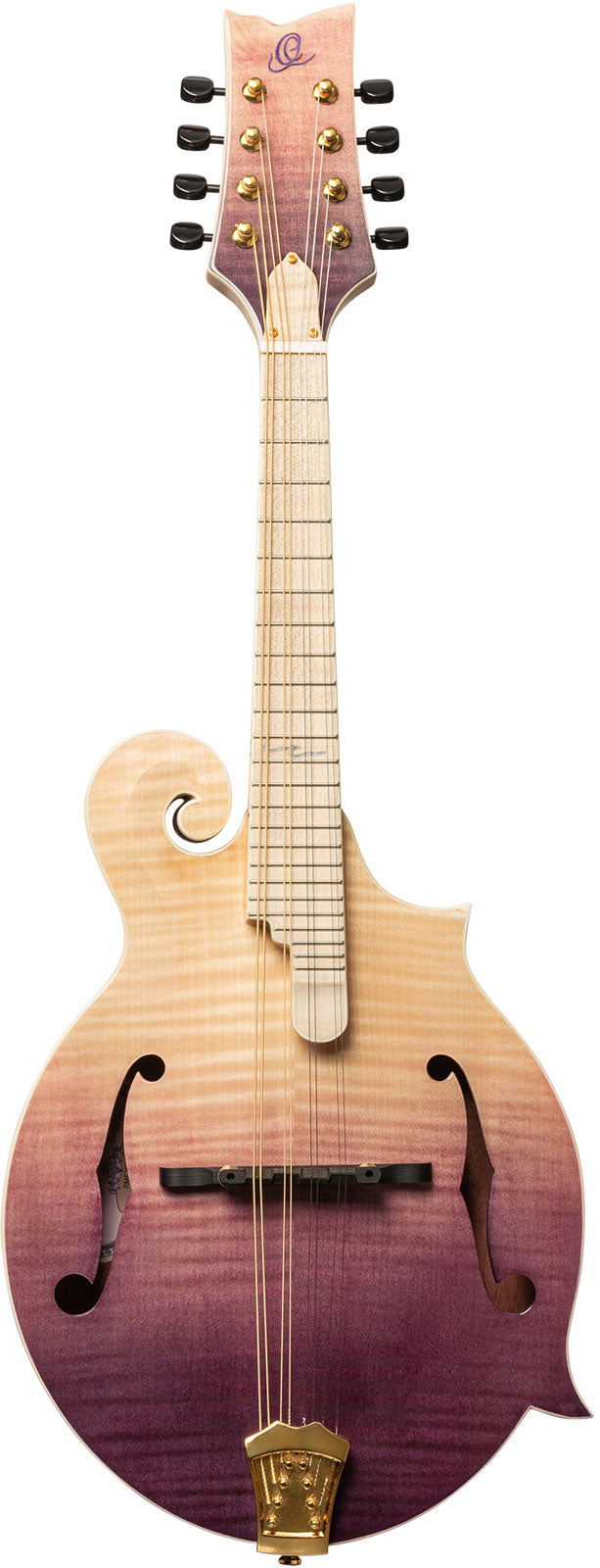 Americana Mandolino F-Style + Custodia in pelle Croco